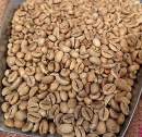 India Robusta Bio (Rohkaffee)