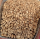 India Robusta Bio (Rohkaffee)
