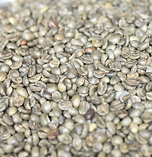 Colombia SHB EP decaf (Rohkaffee)